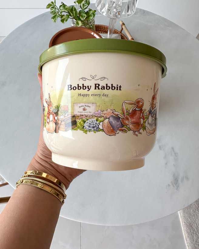 ست که bobby rabite جنس کار پلاستیکی با مواد اولیه