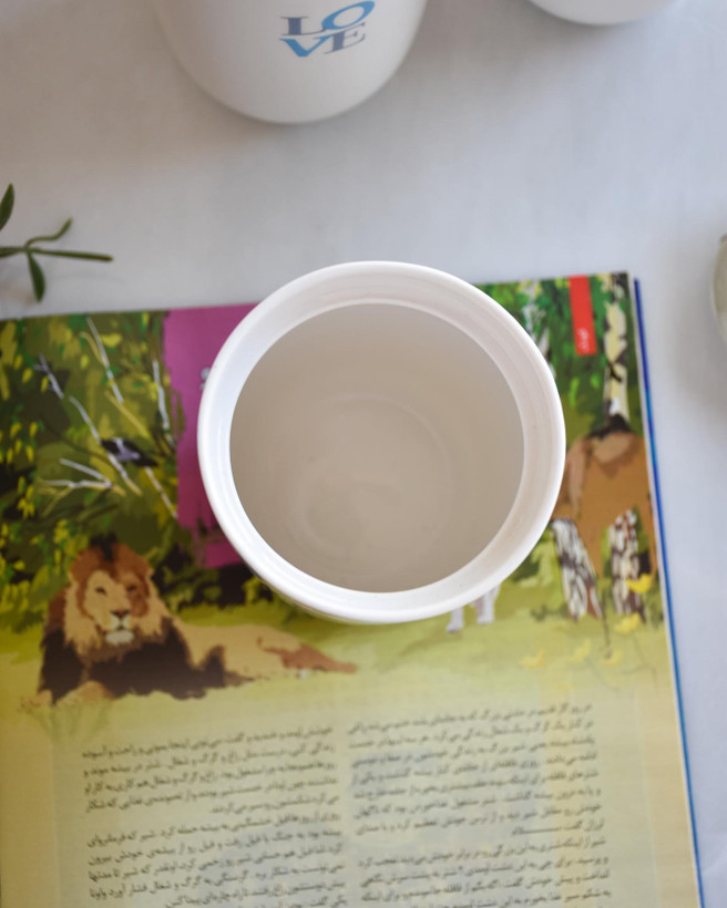 ماگ دوجداره حیوانات